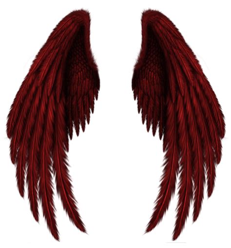 Wings Png Transparent Image Download Size 559x600px