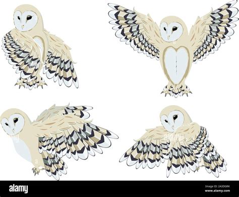 Illustration of cartoon barn owl on white background Stock Vector Image ...