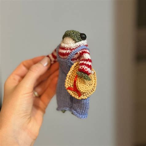 P Knitted Frog Knitted Frog With Colorful Clothes Handmade Frog