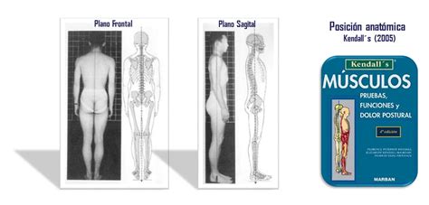 Vaf La Valoraci N Postural