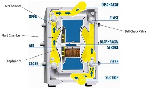 Diaphragm Pump Wikipedia Informacionpublica Svet Gob Gt