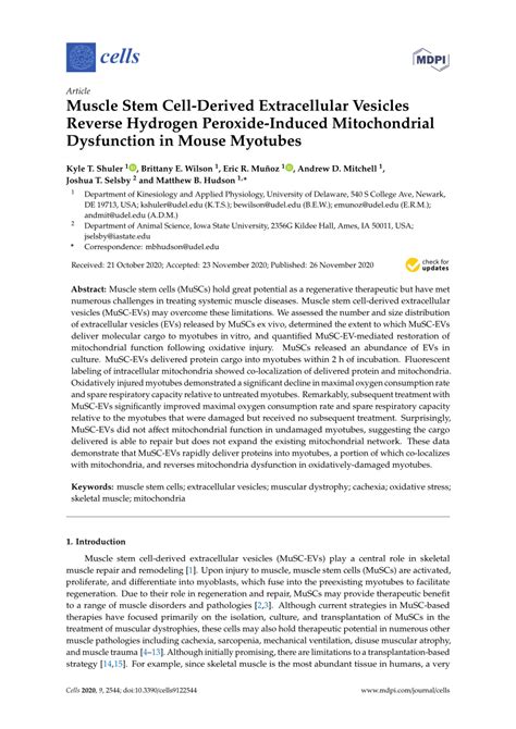 PDF Muscle Stem Cell Derived Extracellular Vesicles Reverse Hydrogen