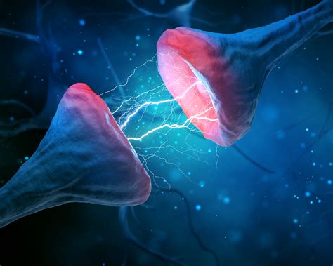 Multiple Sclerosis: the neurologic disease, explained