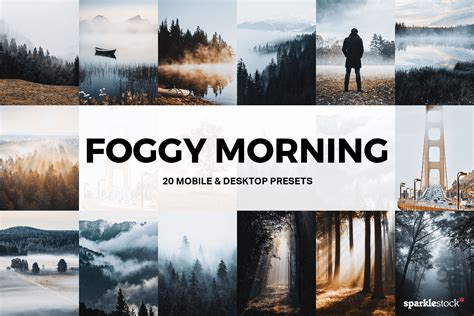 Lr Foggy Morning Lightroom Presets And Luts