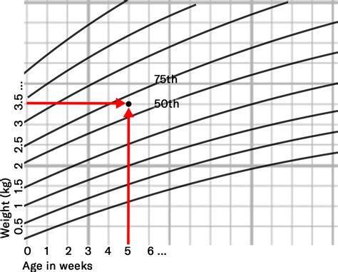 Paediatric Growth Chart Interpretation And Documentation Osce Guide