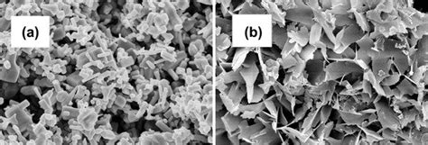 Fesem Morphologies Of A Zno And B Zab Materials At Magnification