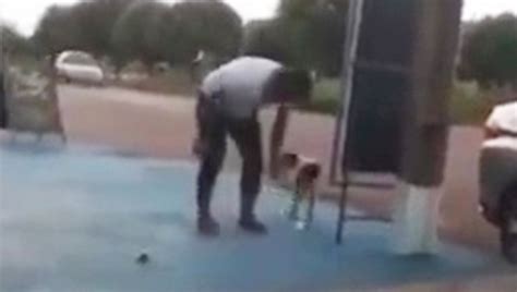 Lega Un Petardo Alla Coda Di Un Cane Un Video Inchioda Un Parlamentare