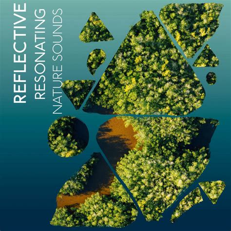 Zzz Reflective Resonating Nature Sounds Zzz Album By Nature Sounds