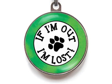 Cat Id Tags For Cats If I Am Out Im Lost Cat Tag Available In 2 Sizes