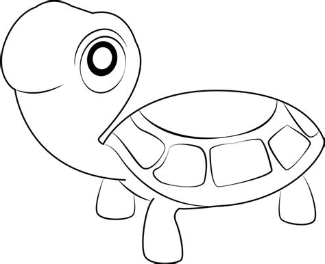 Tortuga Sonriendo Con Vela Para Colorear Imprimir E Dibujar Porn Sex Picture