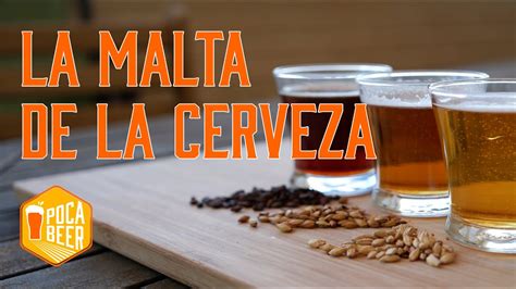 Descubre Todo Sobre La Malta De La Cerveza Origen Proceso Y Sabor Nico