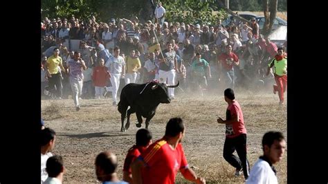 Hombre Muri Luego De Ser Corneado Por Toro En Cusco Rpp Noticias