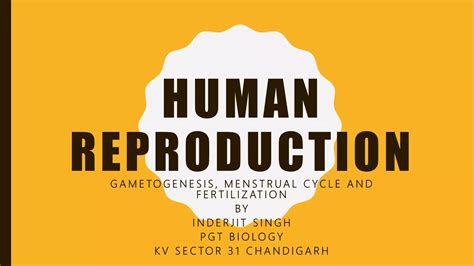 3 Human Reproduction Gametogenesis And Menstrual Cycle PPT