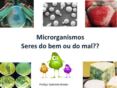 Aula Microrganismos 1ªc