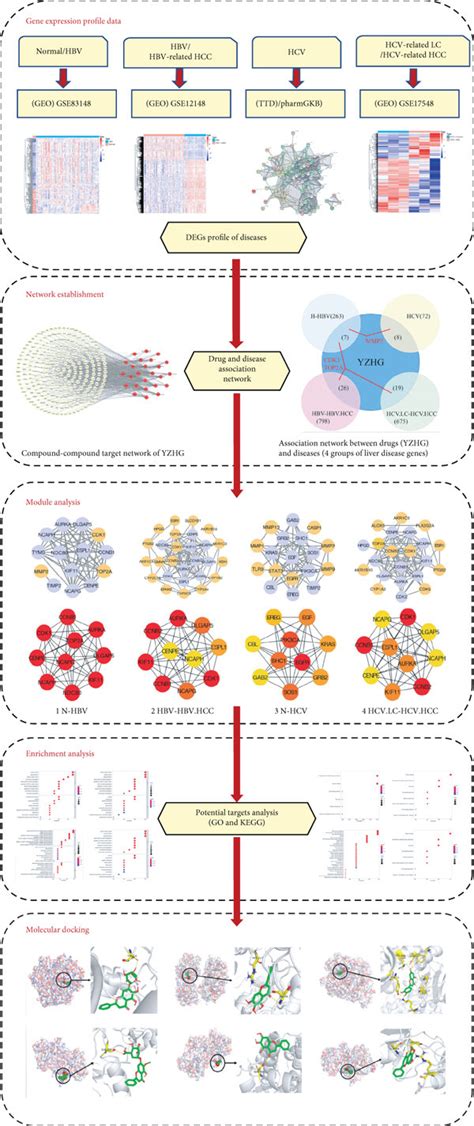 Network Pharmacology Analysis Flow Chart Of Yzhg In The Treatment Of Download Scientific