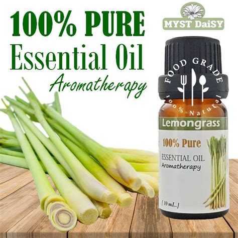 [10 Ml ] Food Grade 100 Pure Essential Oil น้ำมันหอมระเหยตะไคร้บ้าน Lemongrass บริสุทธิ์ 100