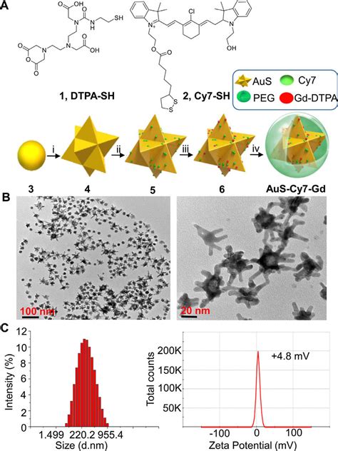 Synthesis And Characterization Of The Multimodal MR SERRS Probe