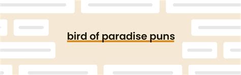 Bird Of Paradise Puns - Best Bird Of Paradise Puns for 2024 - PunPress