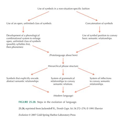 Talk:Evolution/Archive 53 - Wikipedia