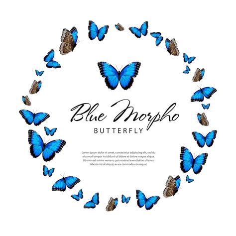 Las mariposas morfo azules en forma de círculo ilustración vectorial