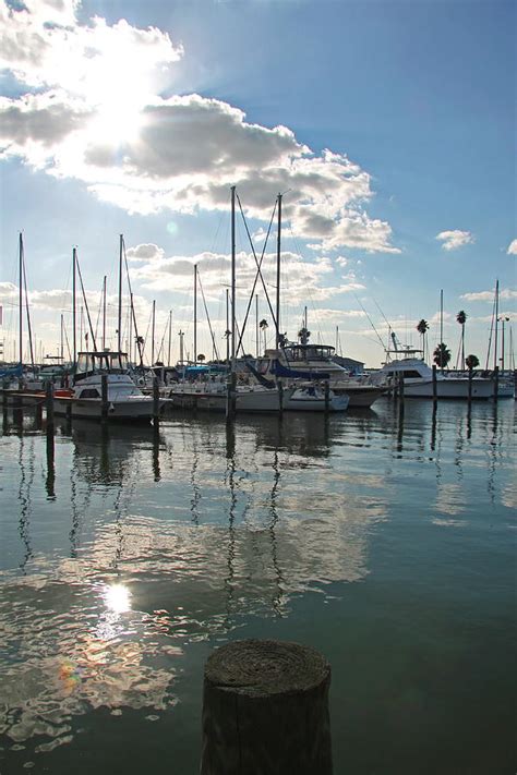 Dunedin Harbor Photograph By Christiane Schulze Art And Photography