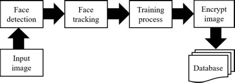 Training database process | Download Scientific Diagram