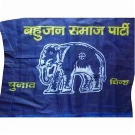 Blue Cotton BSP Party Flag, 3 X 2 Feet at Rs 8/piece in Kota | ID: 25853710112