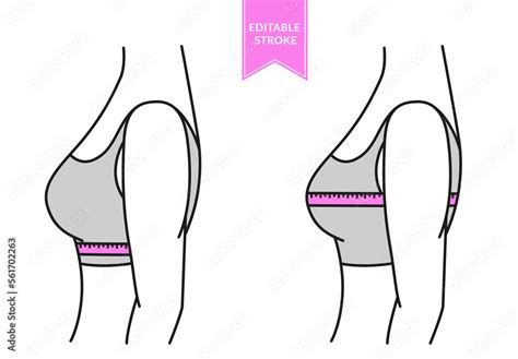 Vetor De Measurement Of Women Bra Lingerie Fitting With Tape Measure