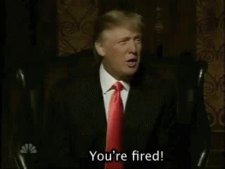 You're Fired GIF - Yourefired Trump Fired GIFs | Say more with Tenor