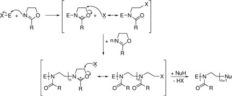 Mechanism Of Living Cationic Ring Opening Polymerization Of