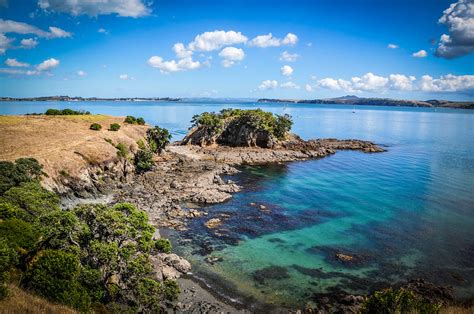 Hiking Your Own Trail on Waiheke Island