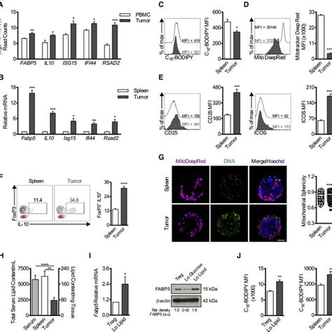 Tregs In The Tumor Microenvironment Exhibit A Suppressive Phenotype Download Scientific Diagram