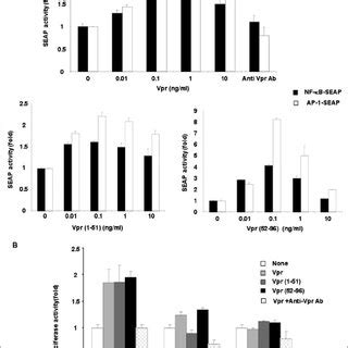 Synthetic HIV 1 Vpr Activates AP 1and NF B Driven Reporter Gene