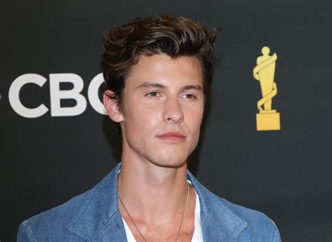 How Much Is Shawn Mendes Net Worth As Of 2023 Vip Net Worth