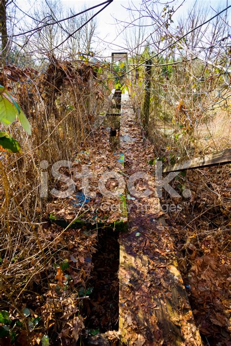 Old Swinging Bridge Siuslaw River Stock Photo | Royalty-Free | FreeImages