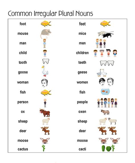 Examples Of Irregular Plural Nouns