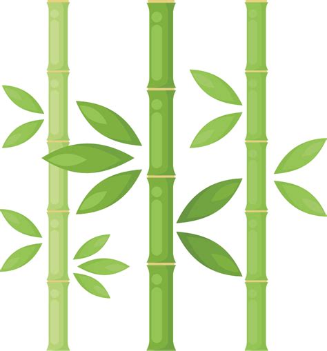 Bamboo Leaf PNG High Quality Image