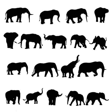 Elefante Ilustración Vectorial De Elefante Diseño Eps Para La Belleza De La Vida Silvestre