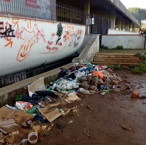 Discarica Abusiva Tra La Coop Di Cerenova E Via Aurelia Trattasi Di