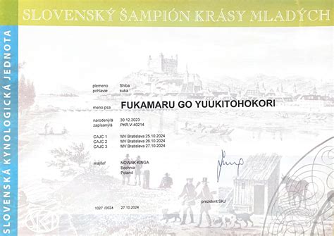 ♀ Fukamaru Go Yuukitohokori (FCI) - Yuukitohokori (FCI) – Hodowla Shiba