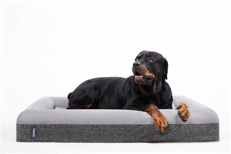 Orthopedic dog bed: Provide your dog with the support he needs