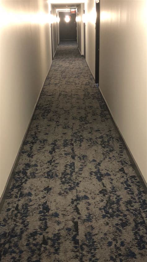 Commercial Carpet Installation Services Chicago, Carpet Installers