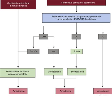 Actualización Detallada De Las Guías De La Esc Para El Manejo De La Fibrilación Auricular De