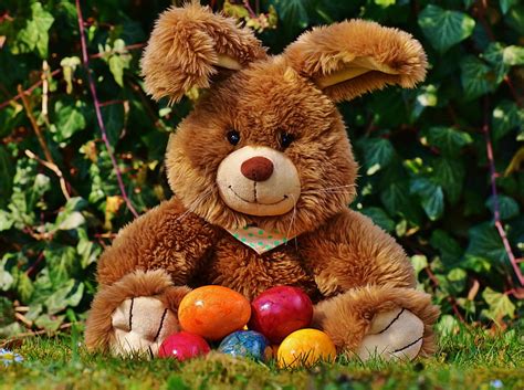 Royalty Free Photo Photo Of Brown Teddy Bear With Easter Bunny Egg