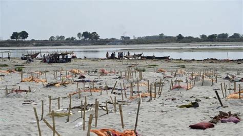 Six More Bodies Found Floating In Ganga In Ups Fatehpur