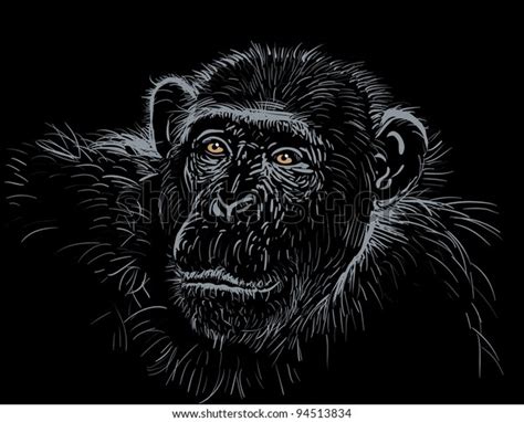 Chimpanzee Stock Vector Royalty Free 94513834 Shutterstock