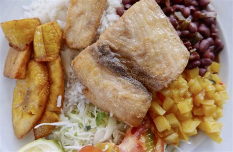 Traditional Costa Rican Dish of Rice, Beans, Fish and Plantain Stock ...