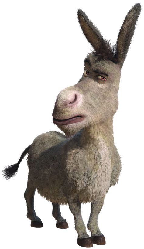 Donkey Transparent 1 By Brandonmerideth On Deviantart