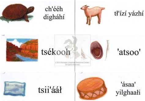 Navajo Vocabulary Flashcards