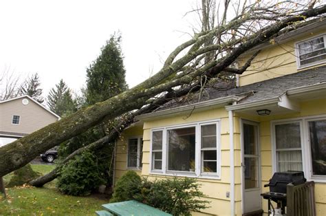 The Steps To Take When A Tree Falls On A House Piedmont